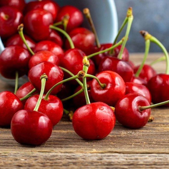 Cherry Starkrimson - Ladybird Nursery