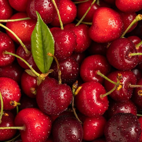 Cherry Starkrimson - Ladybird Nursery