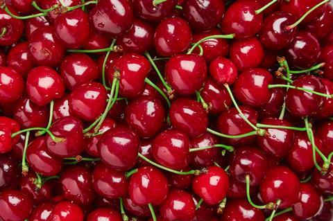 Cherry 'Country Red'