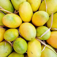 Mango 'Cheruku'