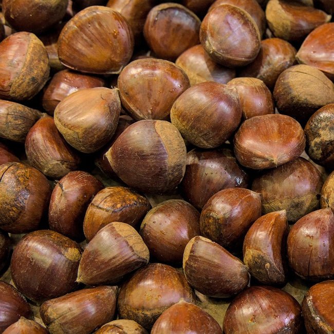 Chestnut Marone - Ladybird Nursery