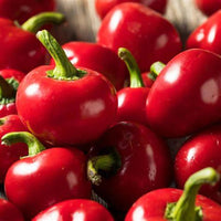 Chilli 'Red Hot Cherry'