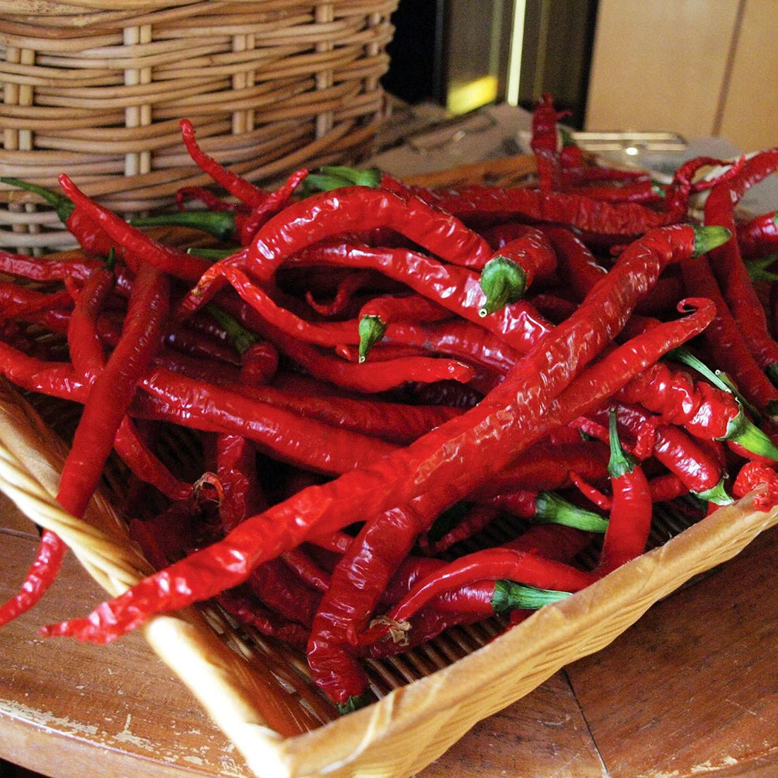 Chilli 'Joe's Long Cayenne' - Ladybird Nursery