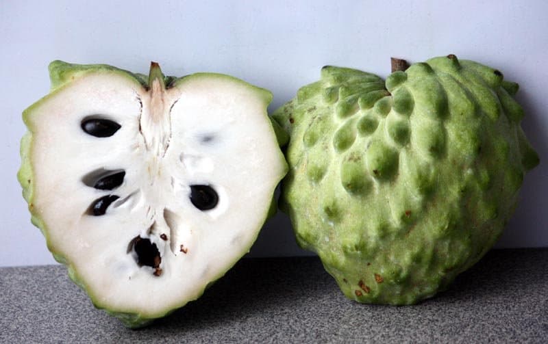 African Pride Custard Apple - Ladybird Nursery