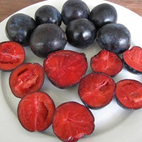 Davidson’s Plum - QLD Form (Davidsonia pruriens)