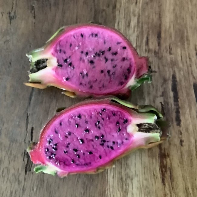 Dragon Fruit Aztec Gem - Ladybird Nursery