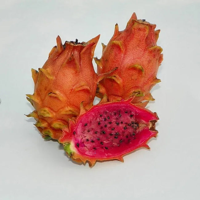 Dragon Fruit Frankies Red Dwarf