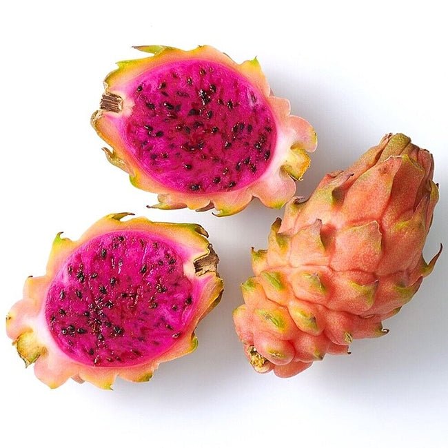 Dragon Fruit Frankies Red Dwarf - Ladybird Nursery