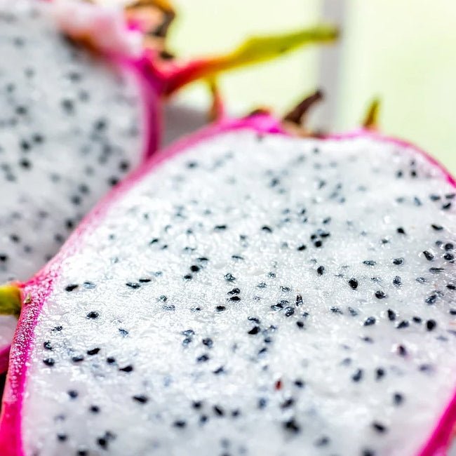 Dragon Fruit Londonii - Ladybird Nursery
