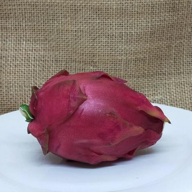 Dragon Fruit Malaysian Purple - Ladybird Nursery