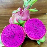 Dragon Fruit Malaysian Purple
