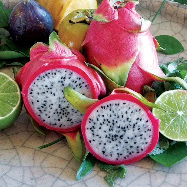 Dragon Fruit Pearl