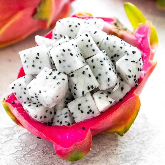 Dragon Fruit Pitahaya - Ladybird Nursery