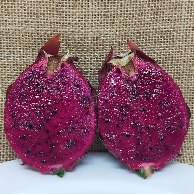 Dragon Fruit Sugar Dragon