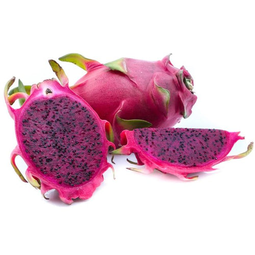 Dragon fruit Purple Haze - Ladybird Nursery