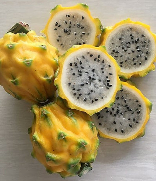 Yellow Dragonfruit