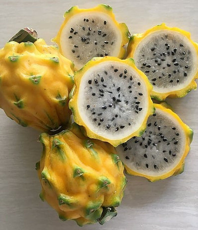 Yellow Dragonfruit