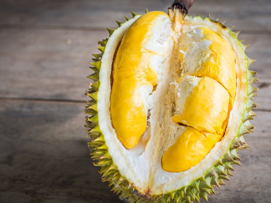 Durian Fruit Tree - Ladybird Nursery