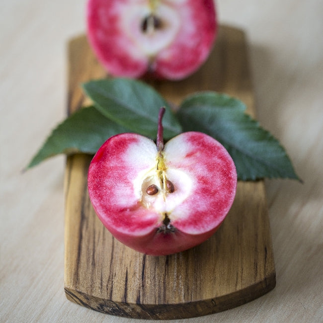 Dwarf Apple Magnus Summer Surprise PBR