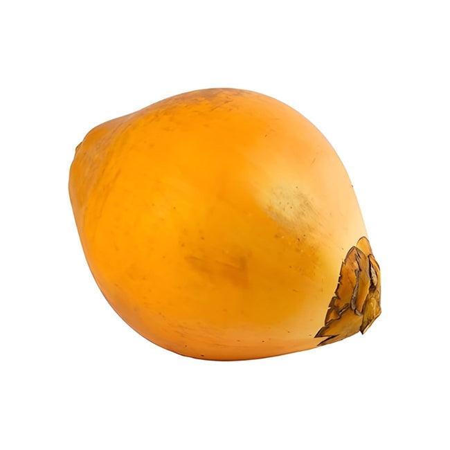 Dwarf Coconut  Yellow