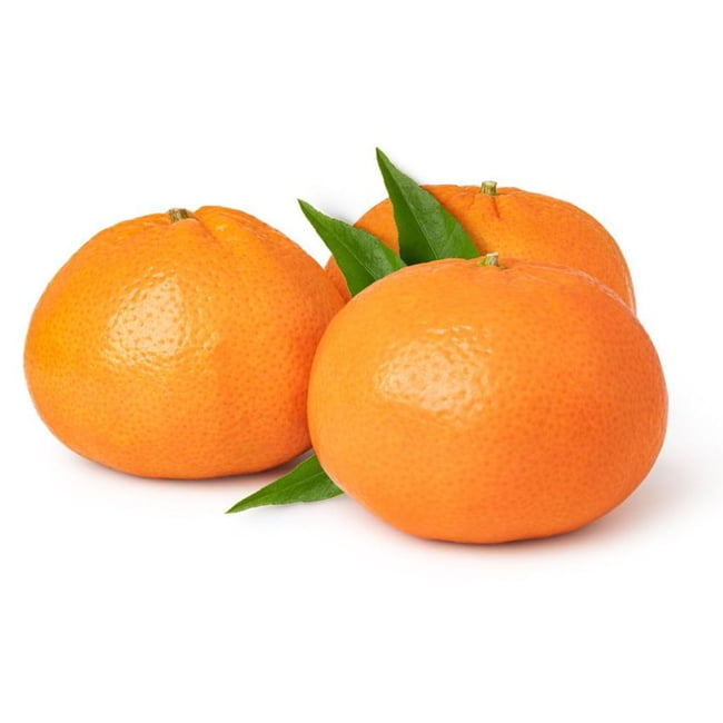 Dwarf Mandarin Clementine