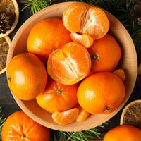 Dwarf Mandarin Clementine (QLD Only) - Ladybird Nursery