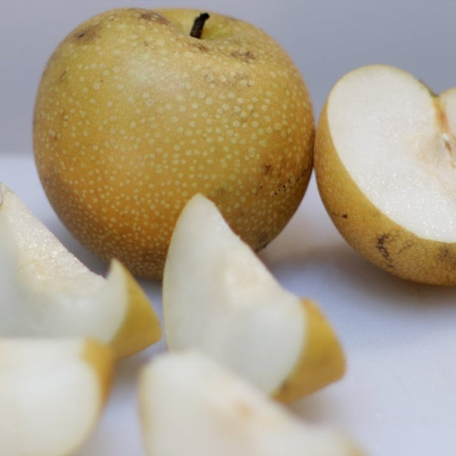 Dwarf Nashi Pear Nijisseiki