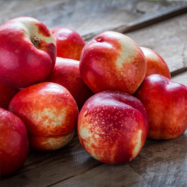 Dwarf Nectarine Valley Gold TM