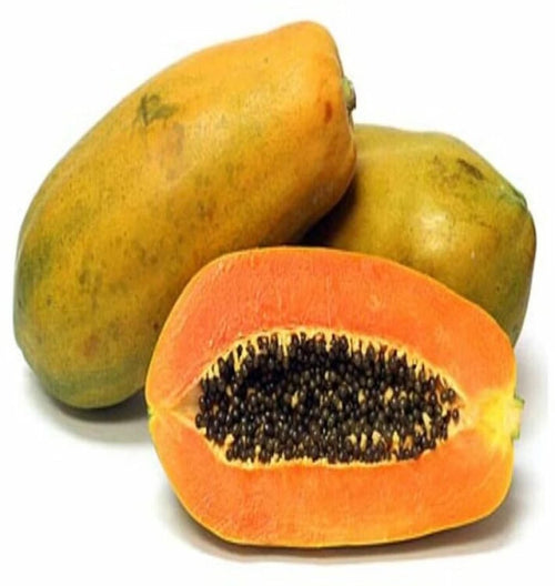 Dwarf Papaya Torpedo - Ladybird Nursery