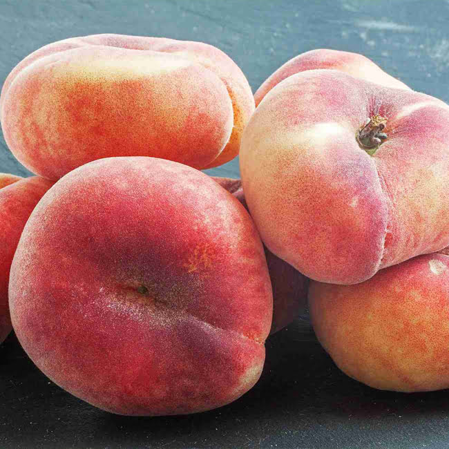 Dwarf Peach Angel High Chill - Ladybird Nursery