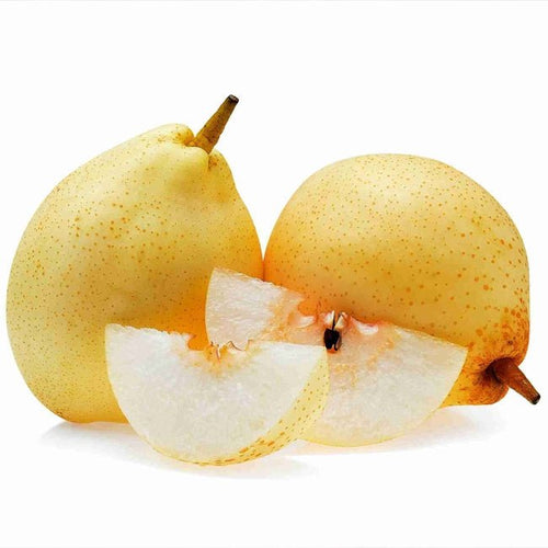 Standard Corella Pear - Ladybird Nursery