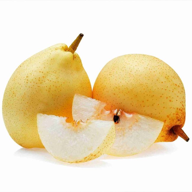 Dwarf Pear Corella - Ladybird Nursery