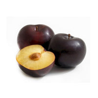 Dwarf Plum Damson - Ladybird Nursery