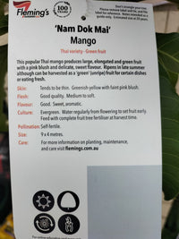 Dwarf Osteen Mango - Ladybird Nursery