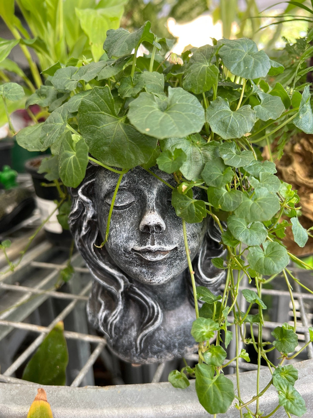 Head Planter Pot - Ladybird Nursery