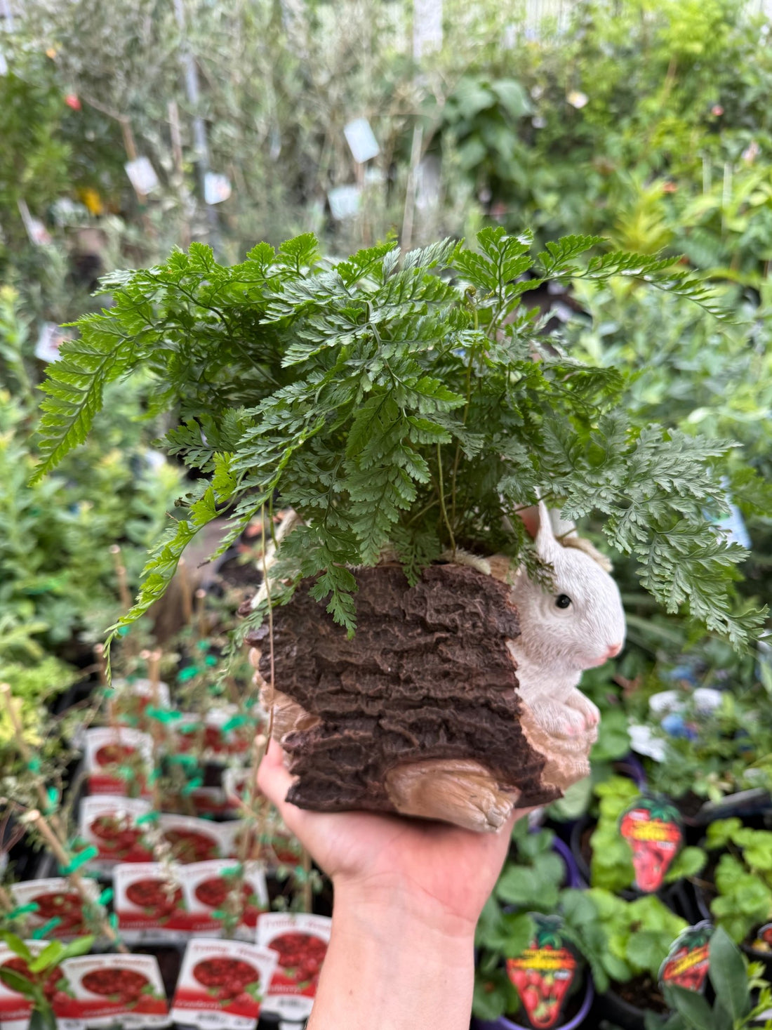Fern in Ceramic Bunny and Log Planter - Ladybird Nursery