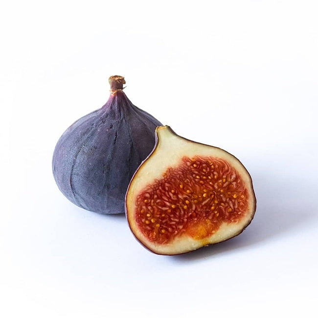 Fig Picone Black