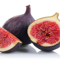 Fig Violette De Bordeaux