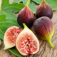 Fig 'Brown Turkey' - Ladybird Nursery