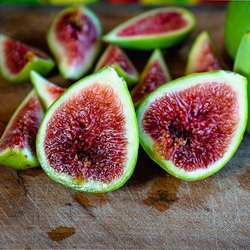 Fig 'White Genoa' - Large - Ladybird Nursery