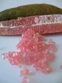 Dwarf Classic Pink Finger Lime Grafted Tree (QLD Only)