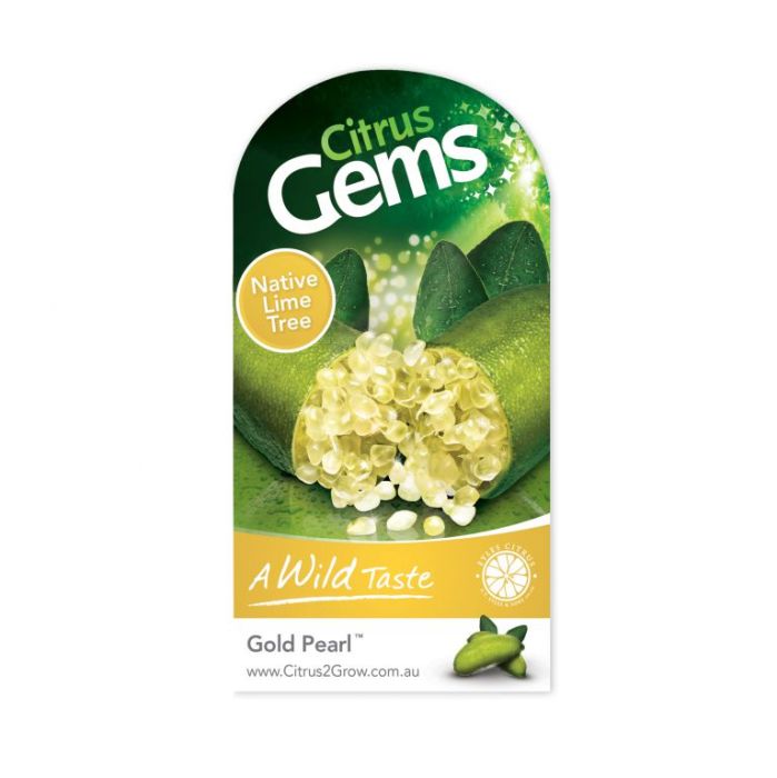 Finger Lime Gold Pearl (QLD ONLY)