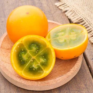 Naranjilla / Golden Fruit of the Andes - Ladybird Nursery