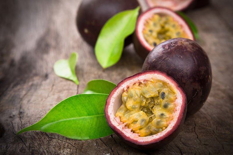 Black Passionfruit - Ladybird Nursery