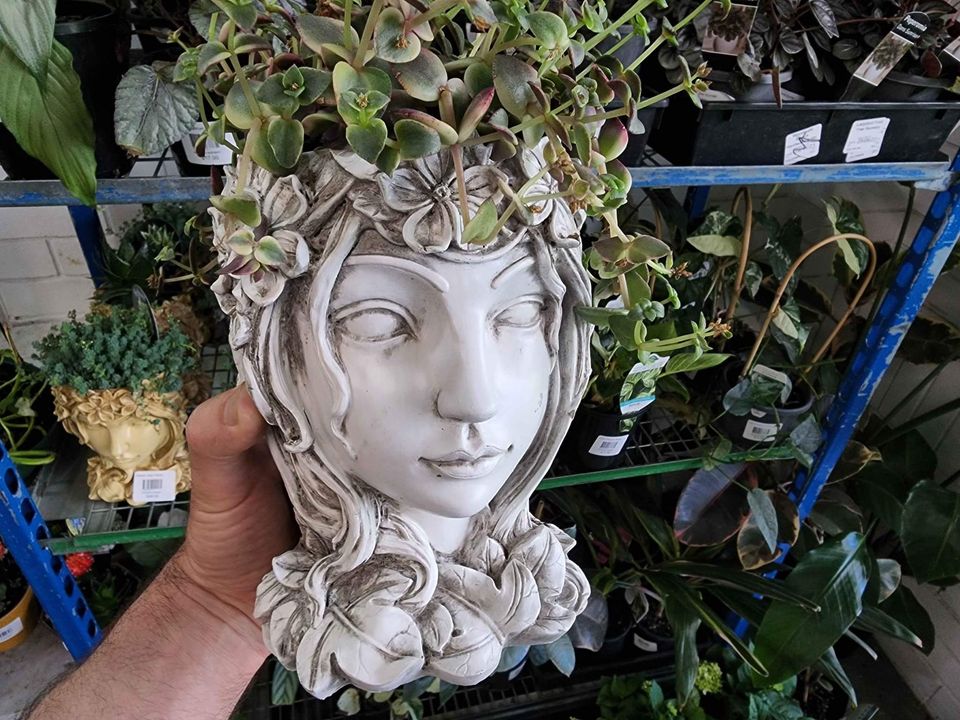 Grecian Lady Planter Pot with plant as hair