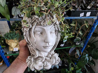 Grecian Lady Planter Pot with plant as hair - Ladybird Nursery