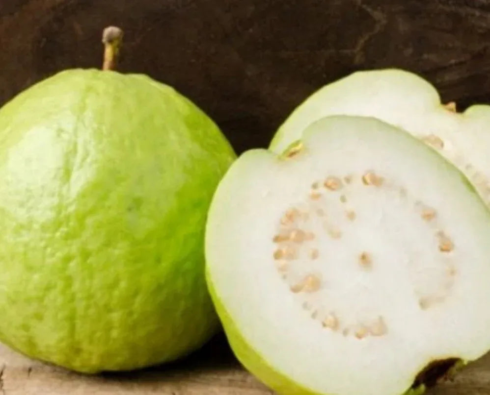 Guava 'Indian White'