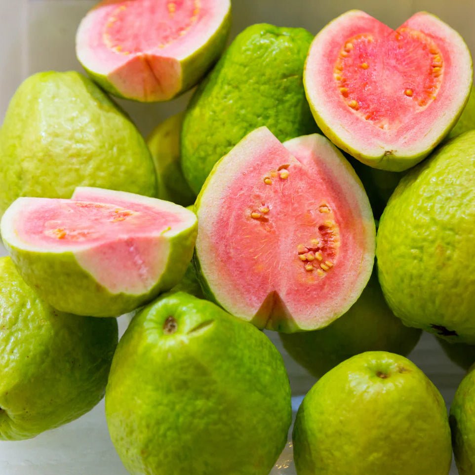 Guava ‘Hawaiian Pink’ - Ladybird Nursery