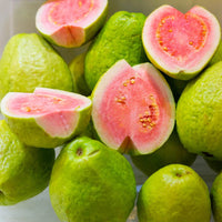 Guava ‘Hawaiian Pink’ - Ladybird Nursery