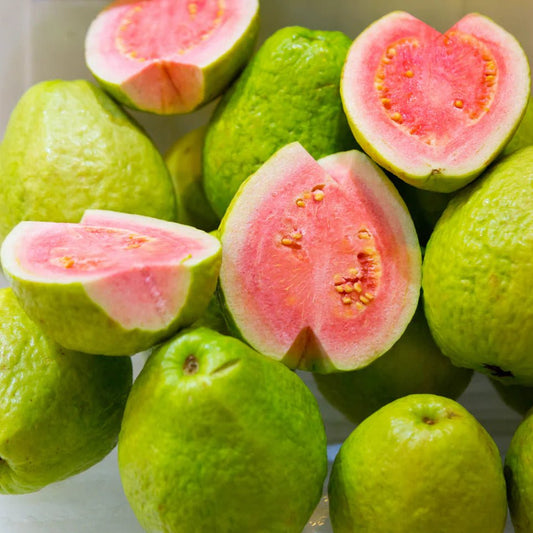 Guava ‘Hawaiian Pink’ - Ladybird Nursery